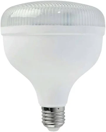 NOAS TORC AMPUL 40W